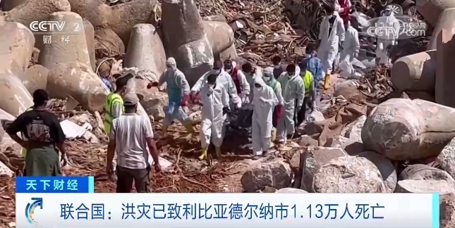 六台至尊下载
